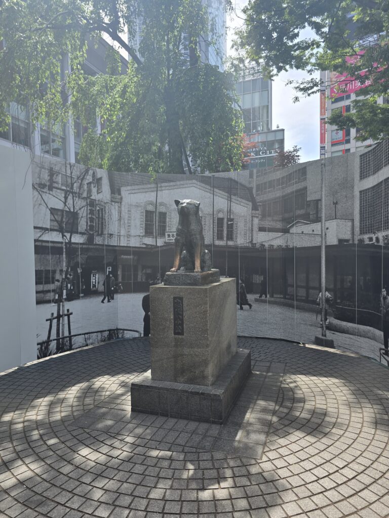 la famosa Estatua de Hachikō ubicada en el exterior de la estación de Shibuya en Tokio, Japón