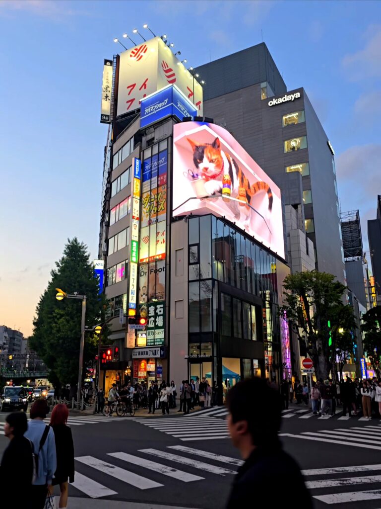 famosa pantalla LED con el gato gigante en 3D ubicada sobre el edificio Cross Shinjuku Vision, cerca de la salida este de la estación de Shinjuku en Tokio, Japón