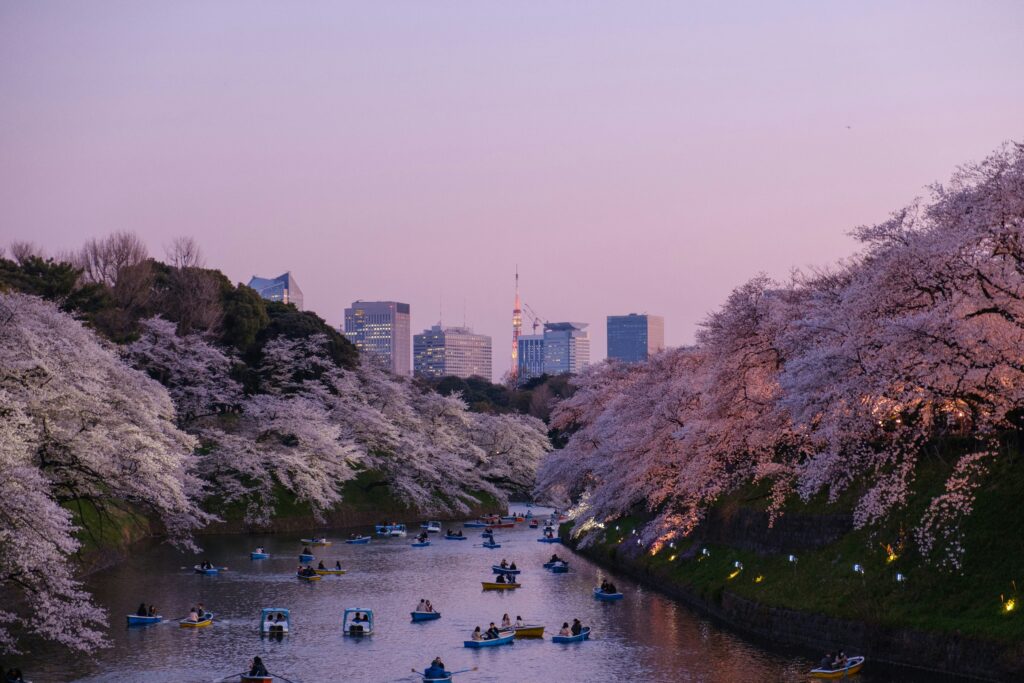 Chidorigafuchi en Tokio (Japón), famoso por sus cerezos en flor o sakura reflejados sobre el agua.